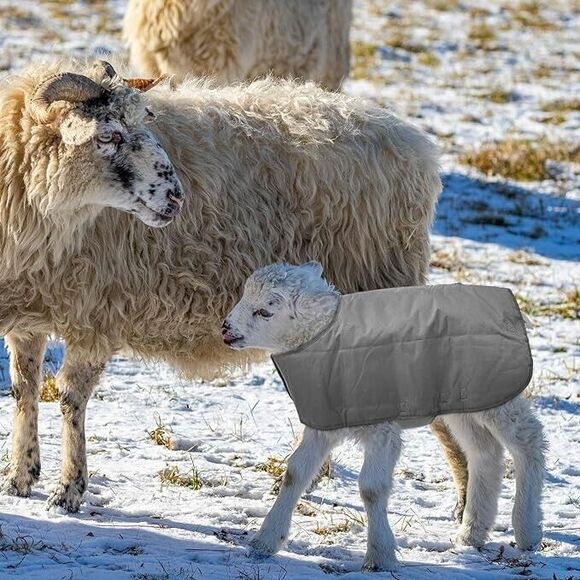 2 Pcs Goat Coats with Adjustable Belly Strap Goat Blankets Waterproof Windproof - Picture 7 of 7